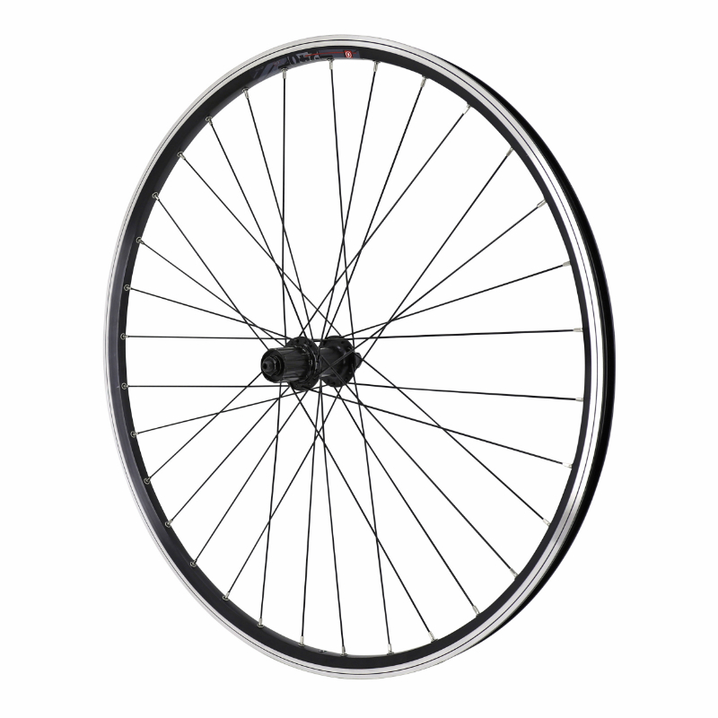 VekAuto Kit De 36 Rayons Vélo 12G En Acier 45 - 243 Mm Noir - Pour Roues VTT, Ville, Remplacement Et Renforcement